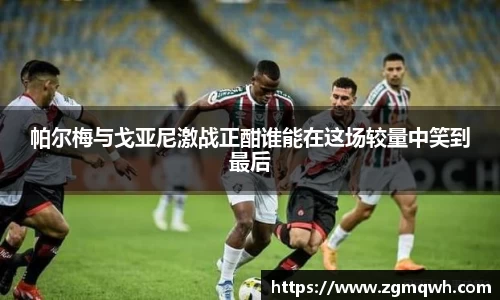 帕尔梅与戈亚尼激战正酣谁能在这场较量中笑到最后